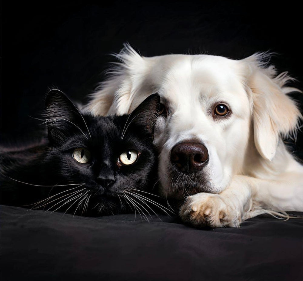 Animaux